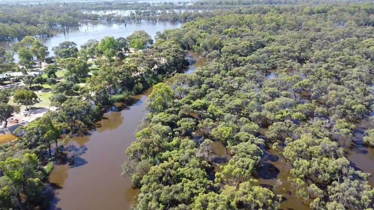 Renmark Floods 15/12/22