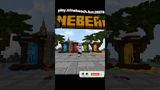 The Best Minecraft Public Lifesteal Smp  Minebeach Smp