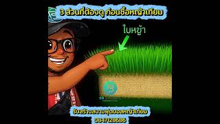 3 ส่วนที่ต้องดู ก่อนซื้อหญ้าเทียม เลือกให้ดีแล้วหญ้าเทียมจะอยู่กับคุณไปอีกนาน084 712 8686 