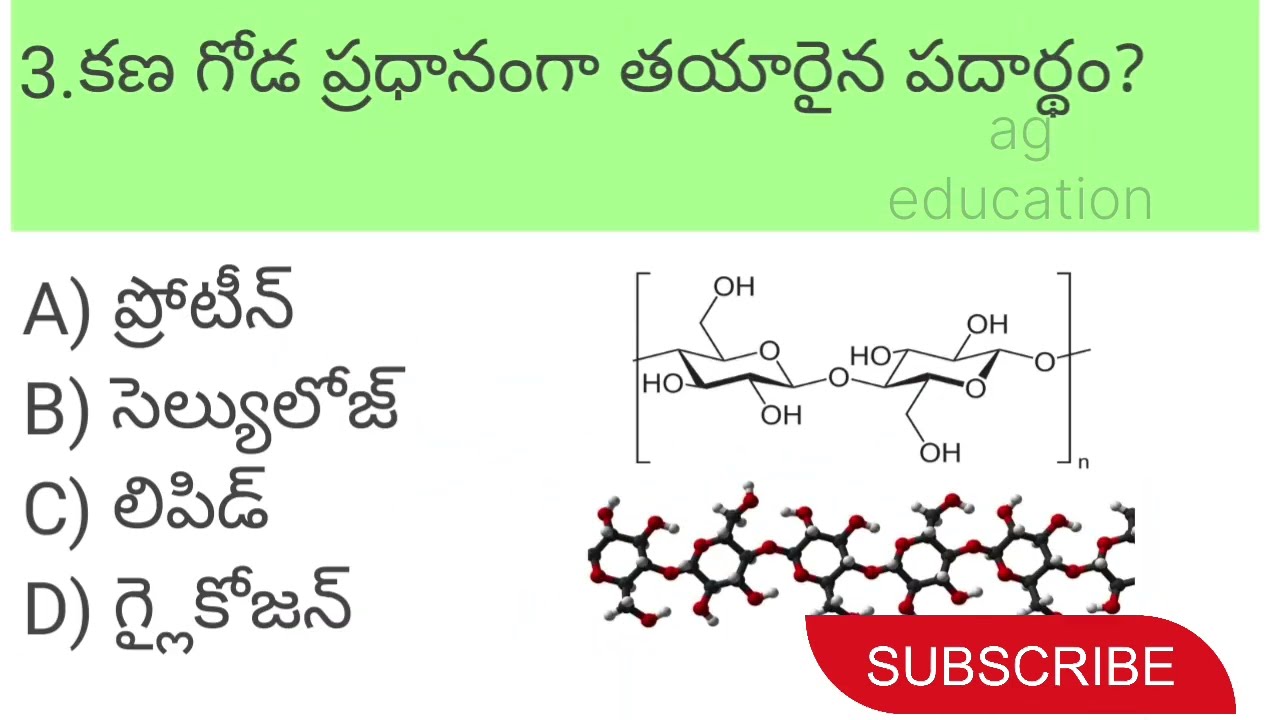 Biology important questions//all competitive exams//tet//dsc//tgpsc//appsc //rrb//ssc//constable//