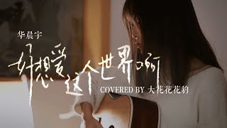 华晨宇超级温暖治愈「好想爱这个世界啊」完整版吉他弹唱女声翻唱cover【大花豹】