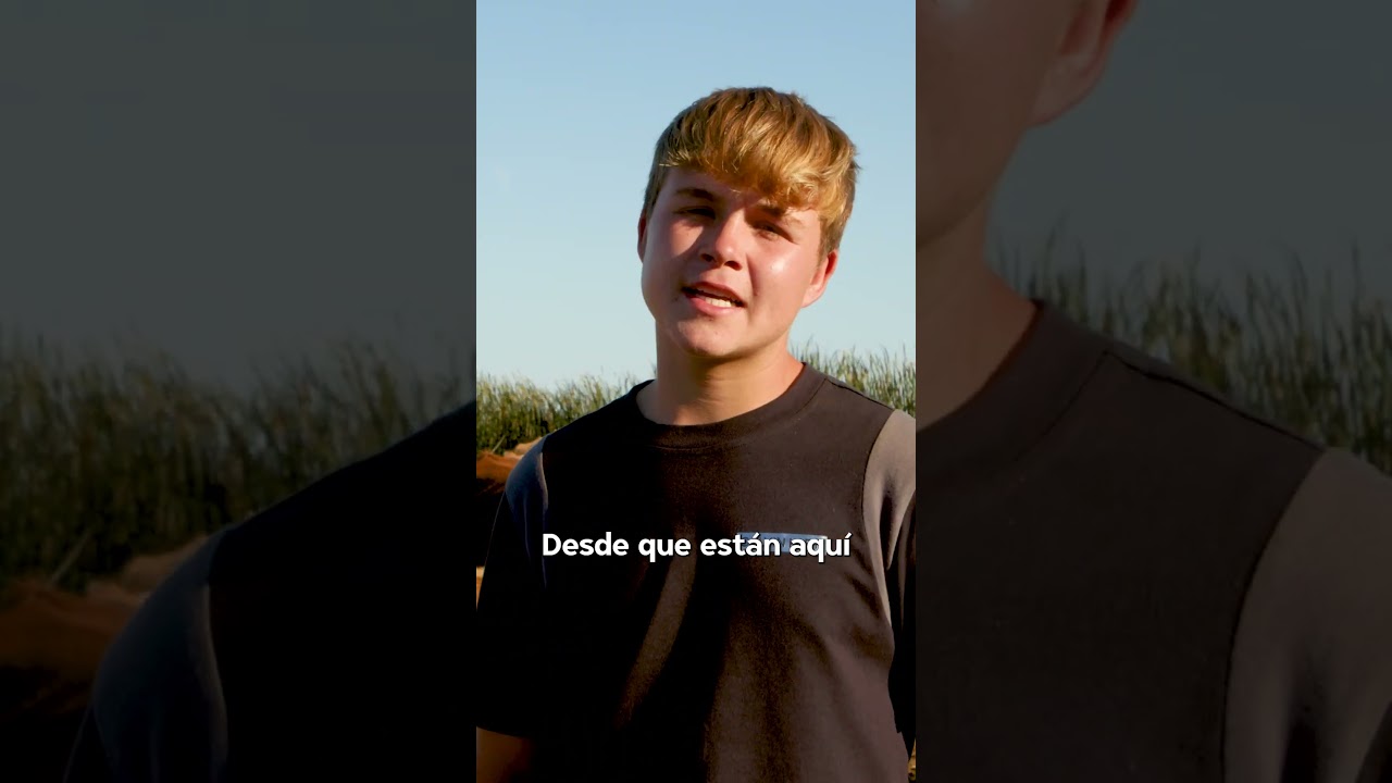 Pastoreo con relevo generacional en el Prat de Cabanes #Pastoreo #PratDeCabanes #RelevoGeneracional