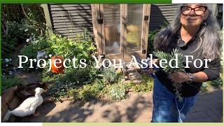 Projects You Asked For
