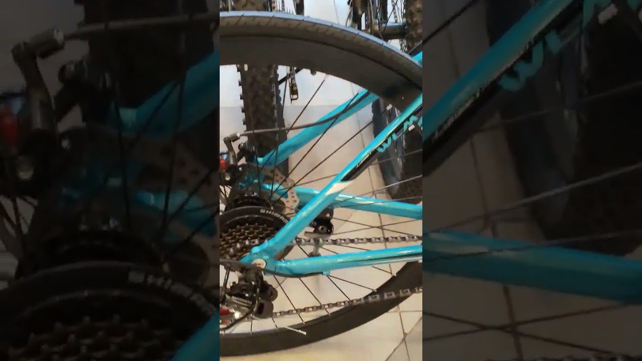 toby's sports stationary bike