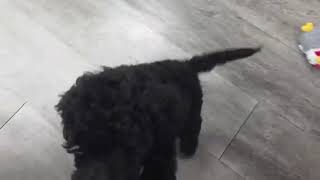 195