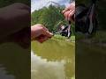 Catching giant fish  // @Spinning_Fishing888  #fishing #рибалка #carpfishing #fish #music #shorts