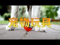 【乐乐看生活】盘点最奇葩的4款宠物玩具!我连狗都比不起了!
