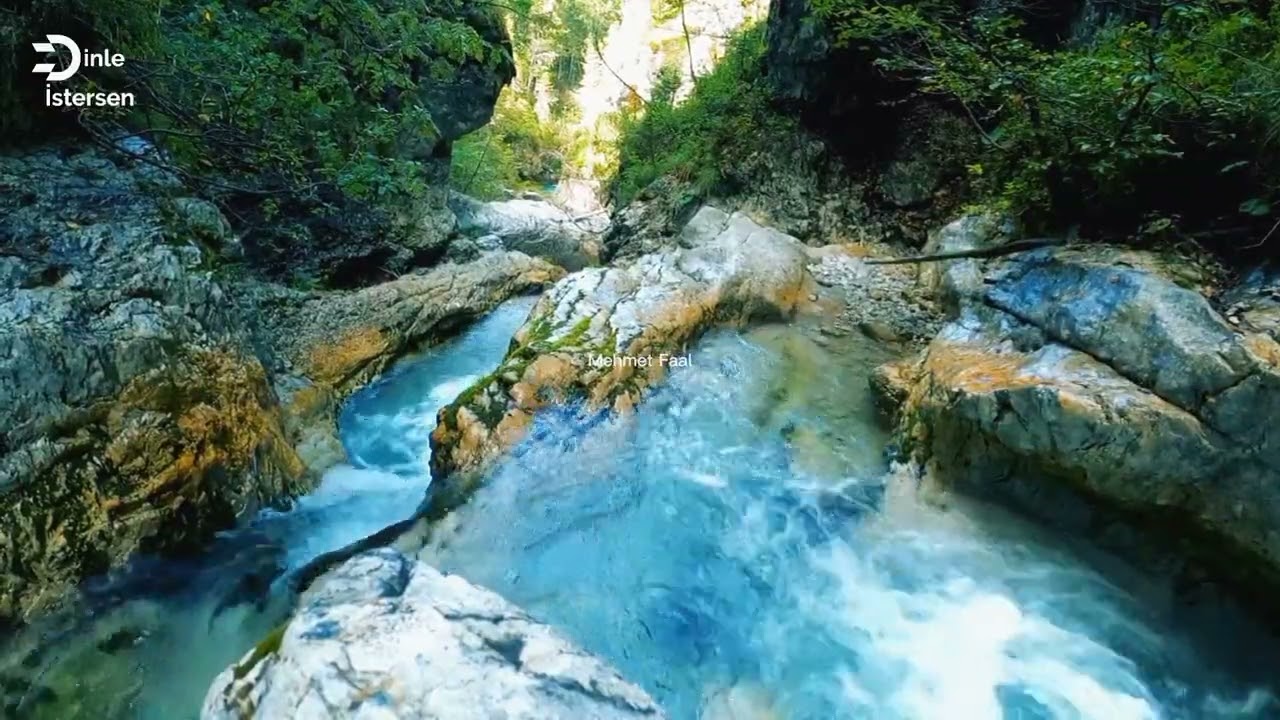 Gerçek Dere Sesi ve Kuşlar - Dinle İstersen