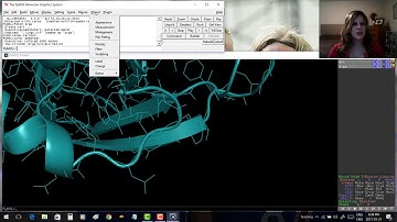 Pymol for Beginners - video 3: measurements