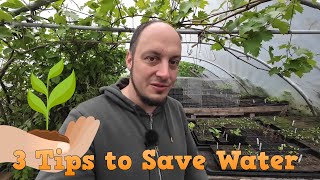3 Ways to Save Water when Starting Seeds