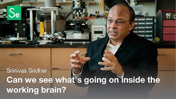 Functional Brain Imaging - Srinivas Sridhar