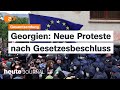 heute journal 14.05.24 Proteste Georgien, Sonderzölle auf Chinas E-Autos, Cannes Filmfest (english)