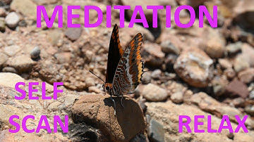 5 minutes MEDITATION session: Self-scan and RELAXATION - Aikido Virtual Dojo