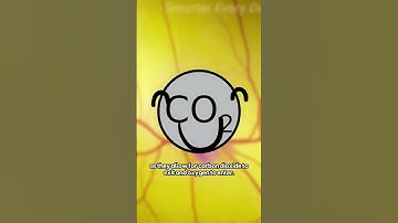 STEM·E #shorts - Egg Shells Have Holes?! #egg #didyouknow #science #sciencefacts #fyp