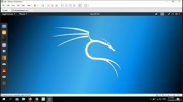 11. Metasploit - Exploit FTP & SSH - WEB