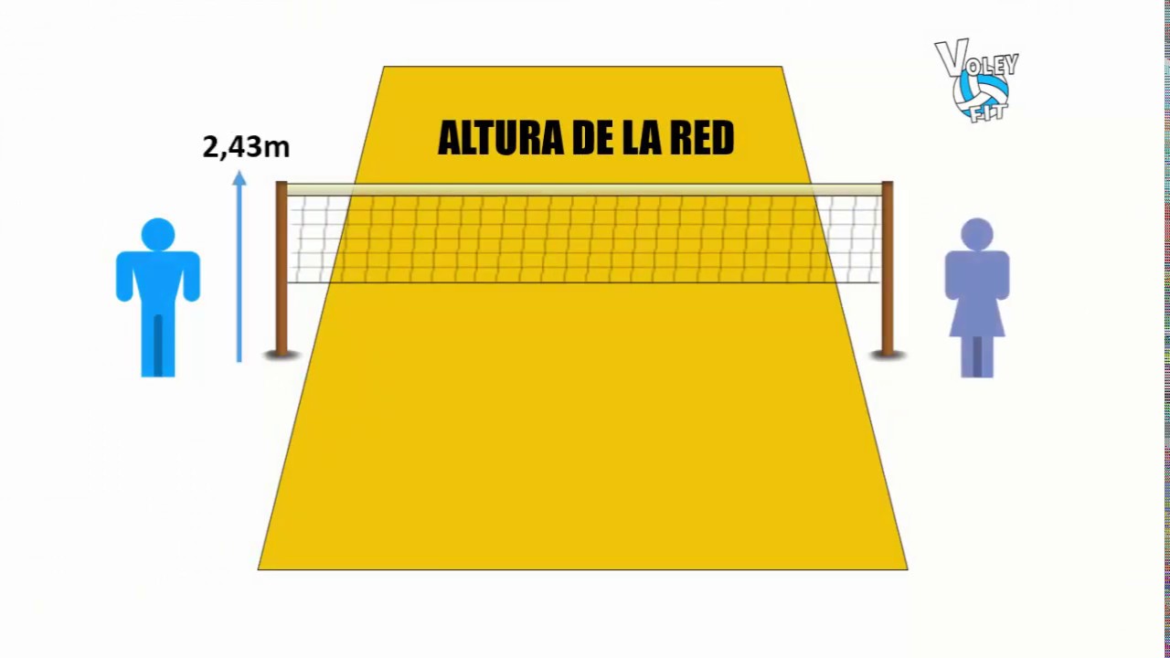 cuántos jugadores juegan en un equipo de voleibol cuántos jugadores juegan en un equipo de voleibol