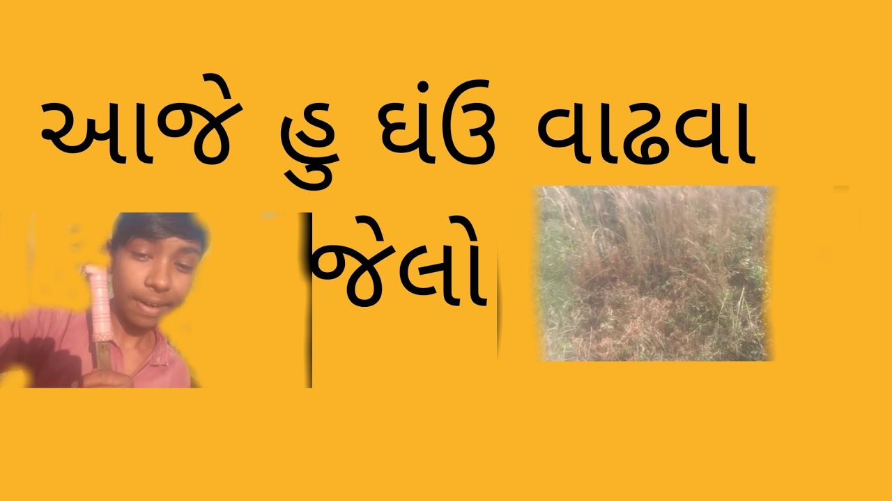 આજે હુ ઘંઉ વાઢવા ગયેલો