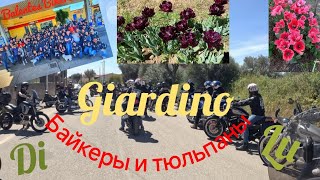 Мототуризм. Сад тюльпанов Giardino di Lu. Выезд на мото с Balentes Bikers. Honda Transalp XL 700 V