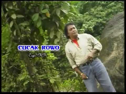 Cucak Rowo - Bidin Khan