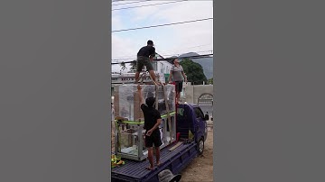 Thi Công Hồ Cá Biển Khủng Cho Biệt Thự tại Việt Nam 🇻🇳🇻🇳🇻🇳