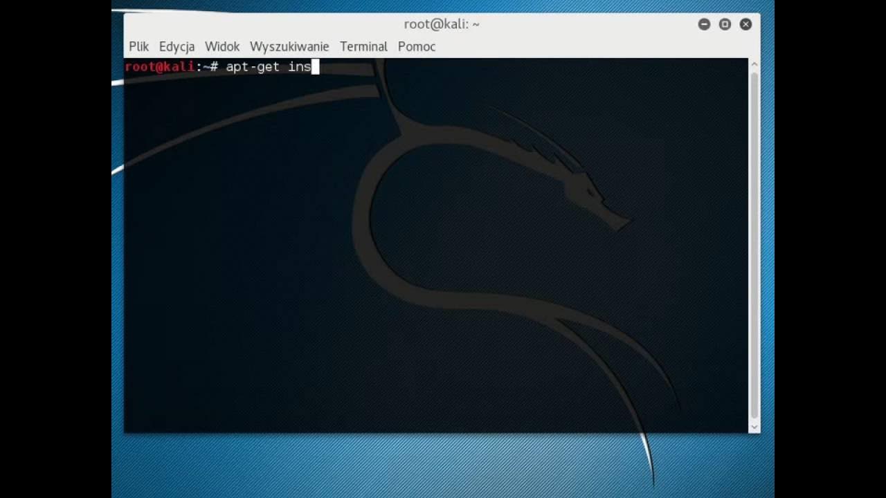 How to find My public IP address in linux cli / Sprawdzanie
