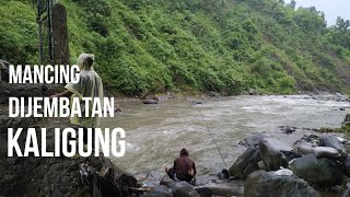 Mancing Ikan Di KaliGung TEGAL JAWA TENGAH Banjir Bandang!!