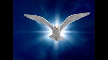 The Great Restrainer and 7 Year tribulation-James Jacob Prasch -Live Via Skype