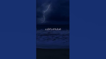 تلاوه خاشعه قرأن كريم #اكسبلور #لايك #الرحمن #ترند #المصحف #فولو