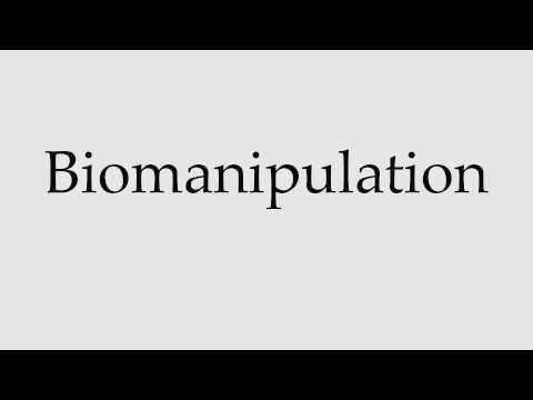 How to Pronounce
