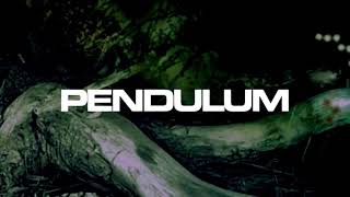 Pendulum - Hold Your Colour (2005 January Version)