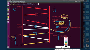 Python编程-网络编程-简单web服务器实现-03 tcp3次握手、4次挥手 强调