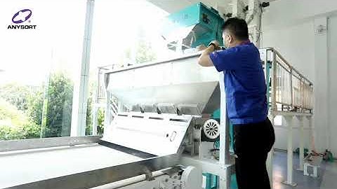 Anysort  Peanuts sorting