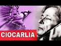 Capture de la vidéo Ciocârlia  - George Enescu (The Lark)