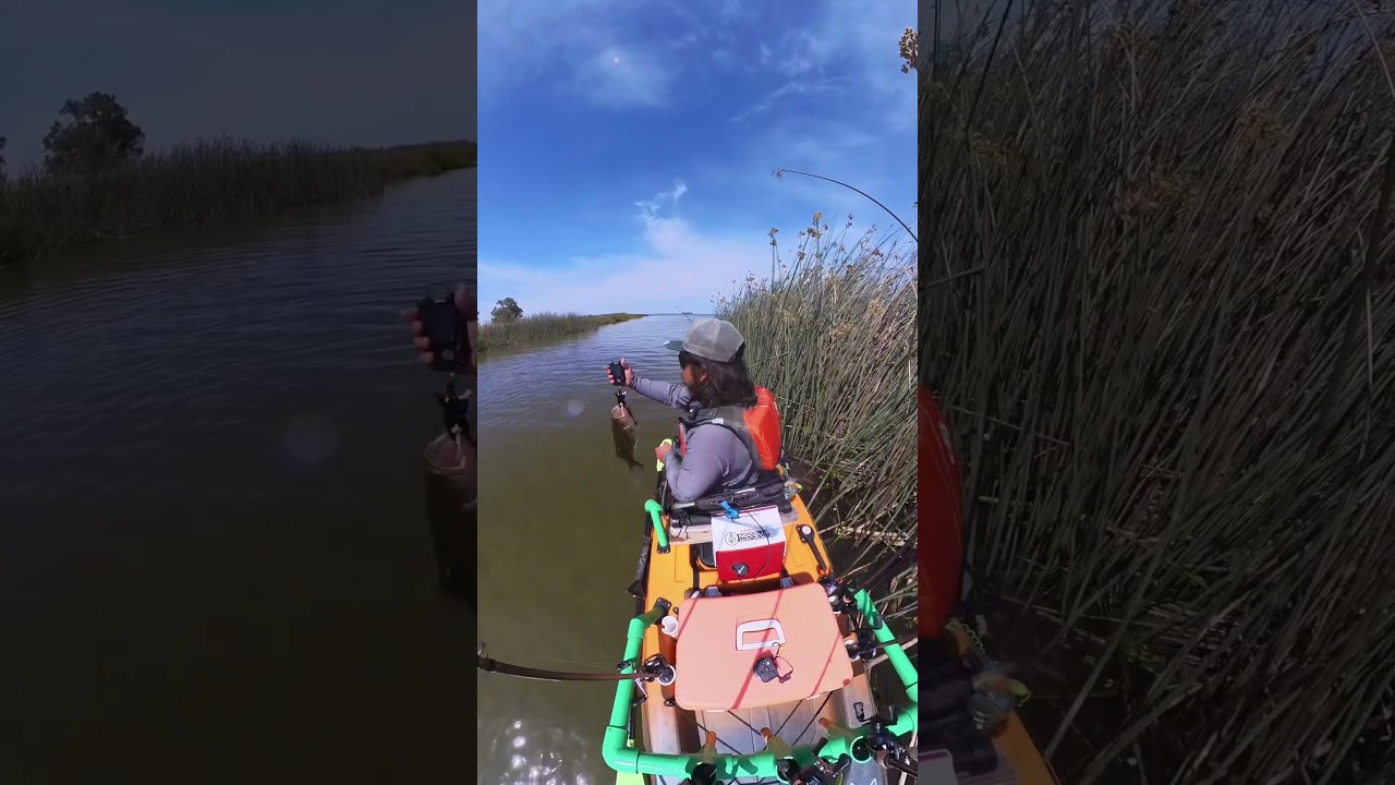 Quality is going up. Swimbaits seem to be working well | 