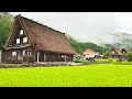 Solo Traveling to a Japanese Historical Village | Shirakawa-go in Heavy Rain