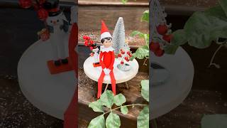 Information Elf on the Shelf Day 1 🎄✨ | December 1st Christmas Magic Begins News