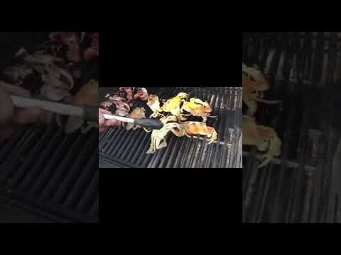 July 4th and Fear Factor. Learn what they have in common!
