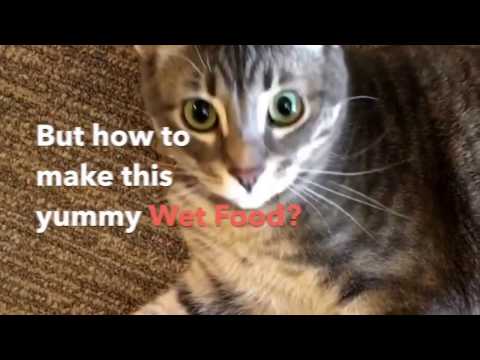 DIY: Healthy home-made food for your cat with all essential supplements