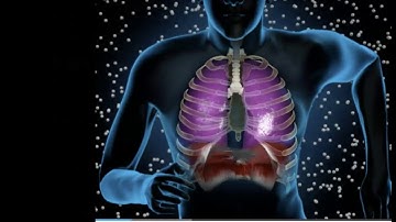 Mechanics of Breathing