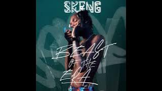 Eedeatt (Idiot) - Skeng