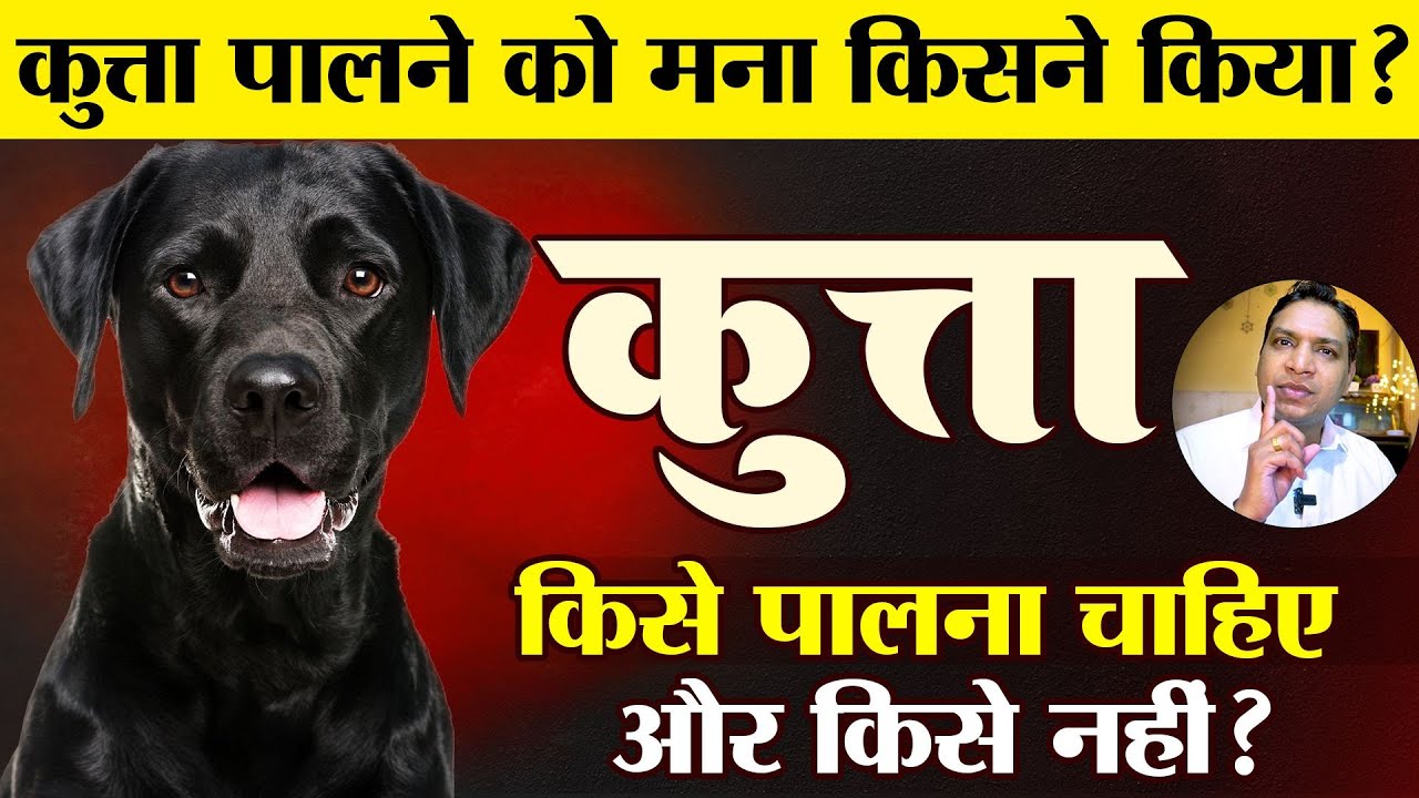 कुत्ता किसे पालना चाहिए और किसे नहीं और ना चाहकर भी कुत्ता पाल लिया है तो क्या करें | Dog in Home