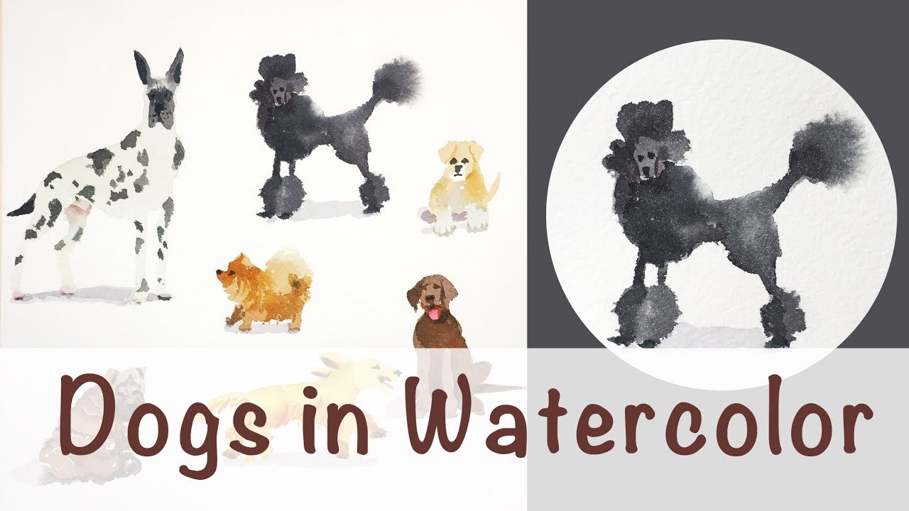 Dogs in Watercolor -Paint a Poodle
