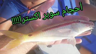 رحلة صيد بحرية في لبنان بيروت غطس حر و صيد بالقصبة fishing in lebanon red fish big fish