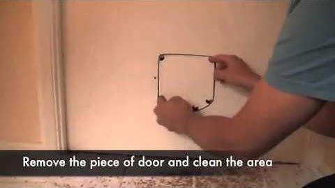 SureFlap Microchip Cat Flap & DualScan   Door Installation