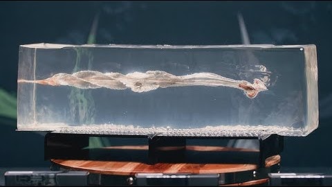 Gorilla Ammunition 8.6 Blackout 342gr Subsonic Expanding