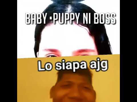 Video []Baby Puppy[] mandi 💧viral 🔥🔥