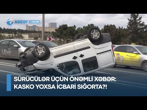 Video: İspan toyuqları: təsvir, şəkil