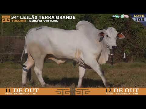 LOTE 102