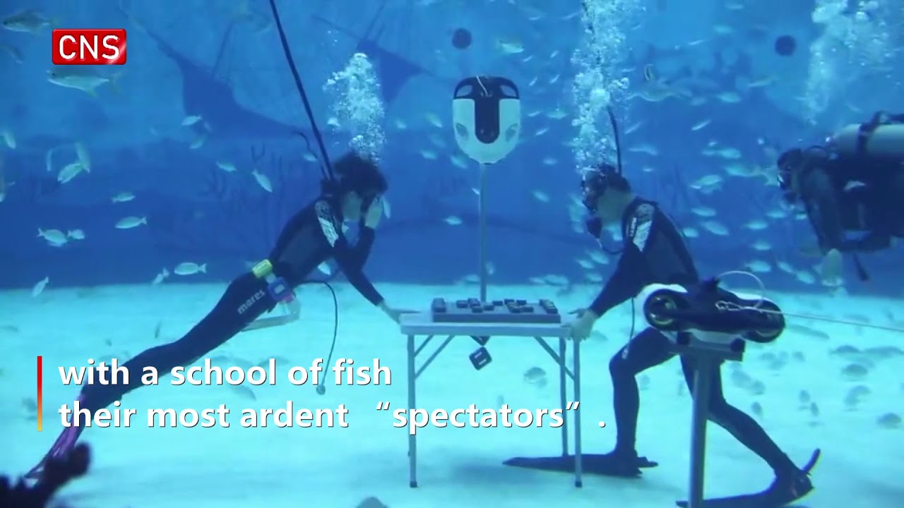 Black and white - Underwater chess in Chennai: Scuba divers play chess  under sea