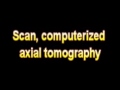 What Is The Definition Of Scan, computerized axial tomography Medical School Terminology Dictionary
